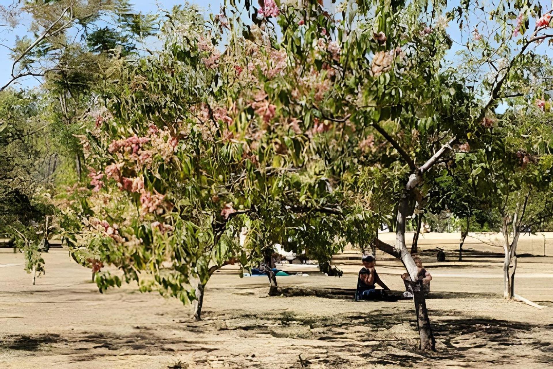 Sudoeste, Office, Vaga Coberta E Local Nota10 * Brasilia